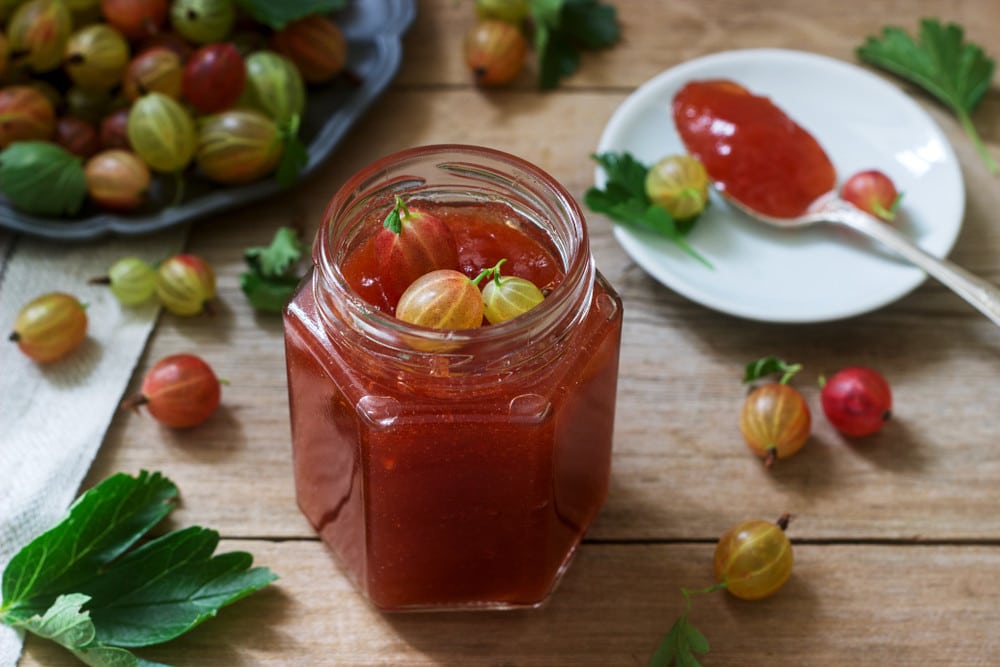 Aromatische Stachelbeer Marmelade ohne Kerne als Gelee