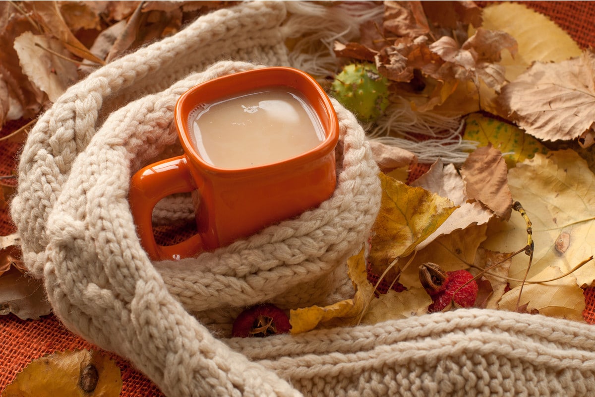 Aromatischer schwarzer Gewürztee mit Milch