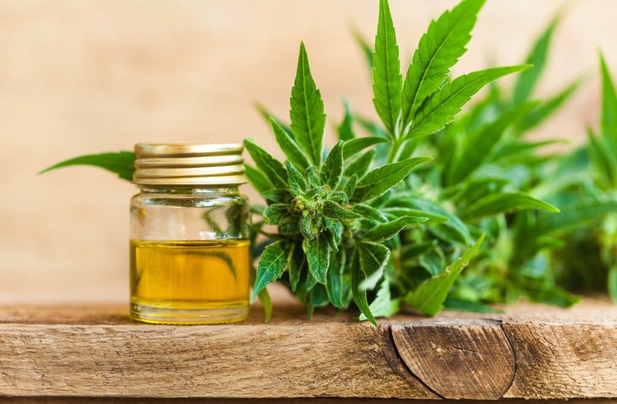 CBD-Öle: Vorteile, Nebenwirkungen, Anwendung in der Küche