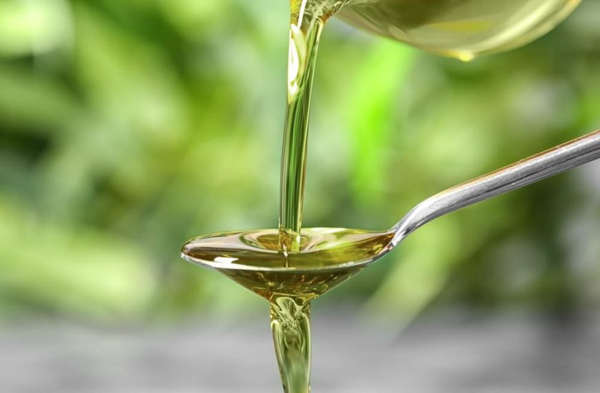 CBD für die Küche: Genussvoll und gesund kochen mit Hanföl