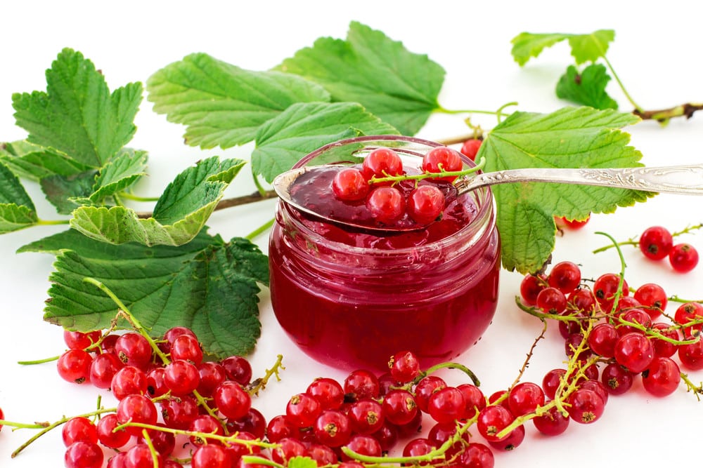 Einfaches Johannisbeergelee Rezept