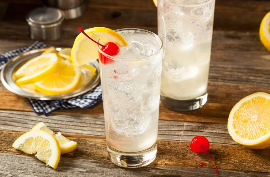 Erfrischender Gin Fizz Cocktail mit Zitronensaft und Eis