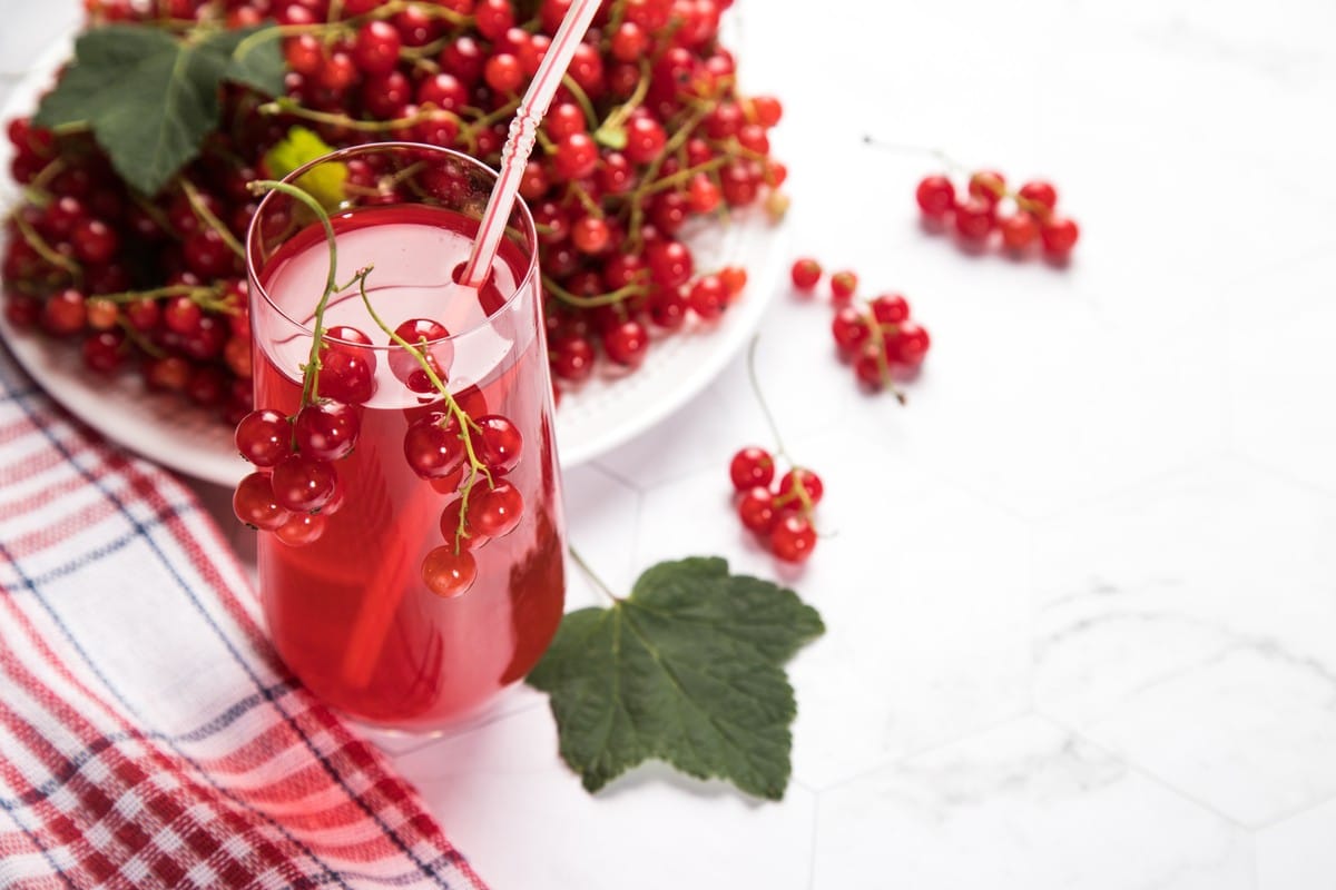 Erfrischender roter Eistee aus roten Johannisbeeren