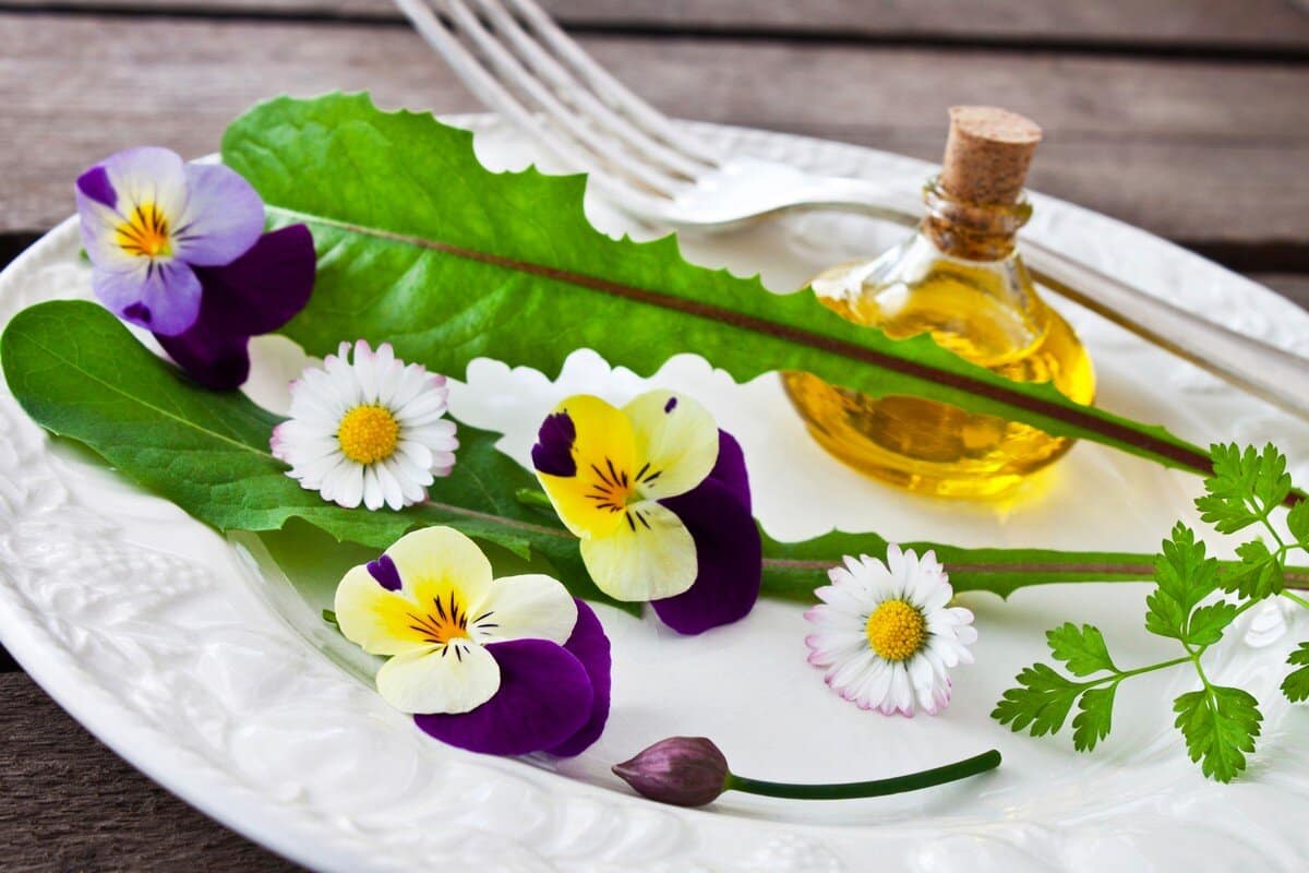 Essbare Blumen in der Küche verwenden|Kann-man-die-Blumen-wirklich-essen|Essen-der-duftenden-Bluetenblaetter-von-Rosen|Kapuzinerkresse-essen|Loewenzahn-kann-roh-gegessen|Kuerbis-und-Zucchiniblueten-sind-in-Salaten-sehr-beliebt|Gaensebluemchen-koennen-verzehr-werden|Lavendel-passt-gut-zu-Schokoladendesserts-und-Eiscreme|Das-Wichtigste-bei-der-Auswahl-der-Blumen-beim-Essen