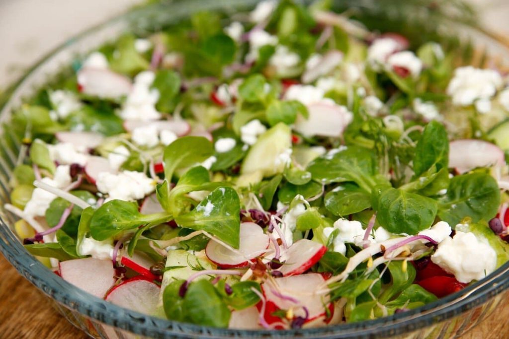 Frischer Feldsalat mit Gurken, Radieschen und Sprossen