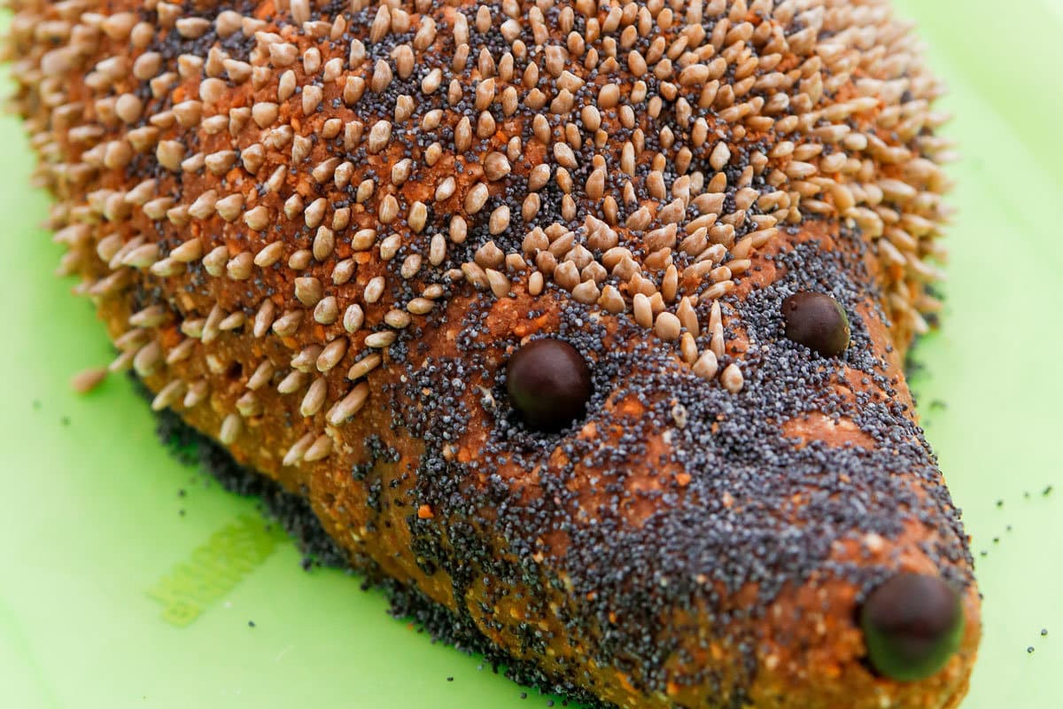 Igel Kuchen aus Butterkeksen ohne Backen