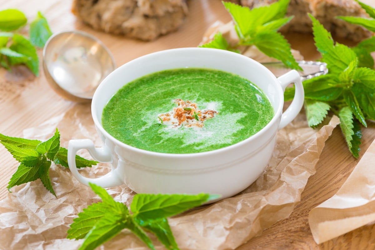 Kalte Brennesselsuppe mit Kartoffeln