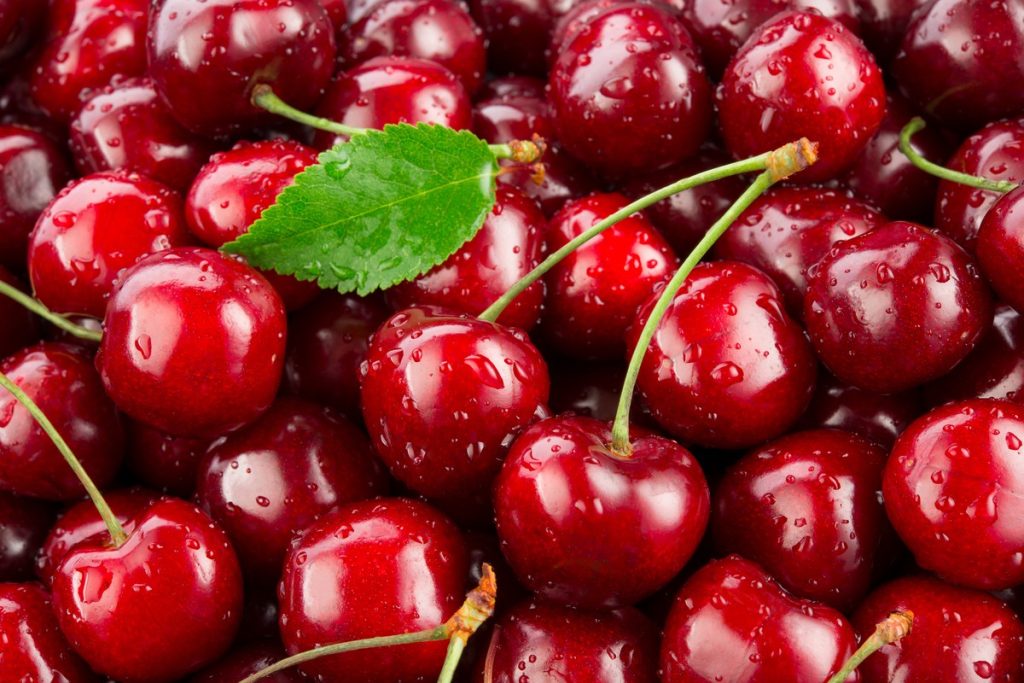 Kirschen – Warum die beliebte Frucht gesund ist|Warum-sind-Kirschen-gesund|Kirschen-fuer-den-Schlaf