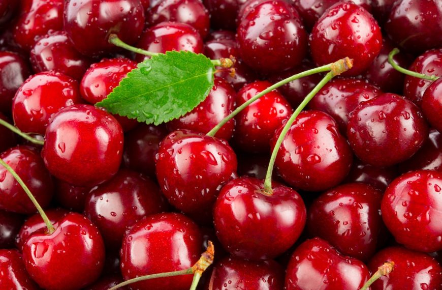 Kirschen – Warum die beliebte Frucht gesund ist