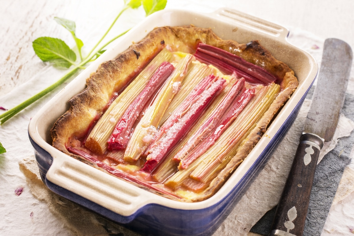 Leckerer Rhabarberkuchen aus Mürbeteig mit Vanillecreme