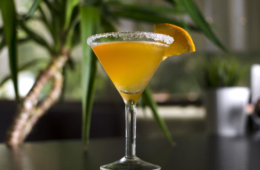 Leichter Cocktail Sidecar aus Cognac und Orangenlikör