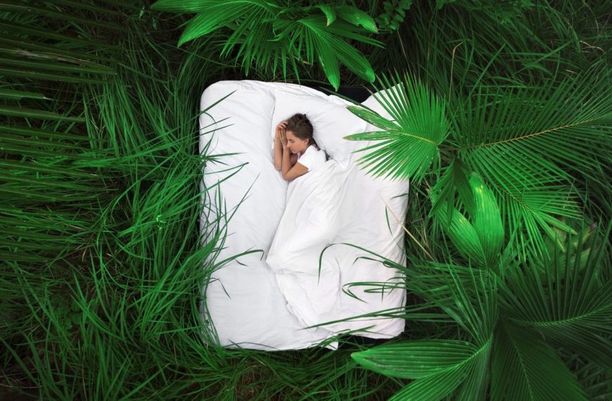 Melatonin, Wachstumshormon und Leptin – Hormone für deine Jugend und…