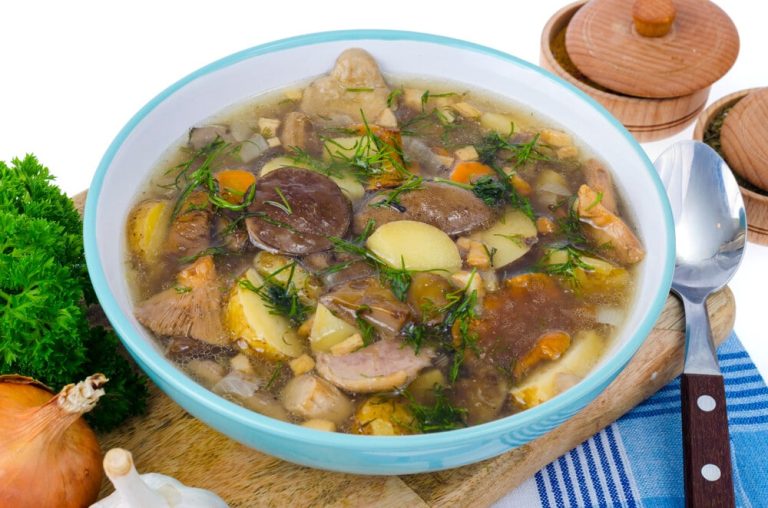 Pilzsuppe aus frischen Steinpilzen mit Kartoffeln und Karotten