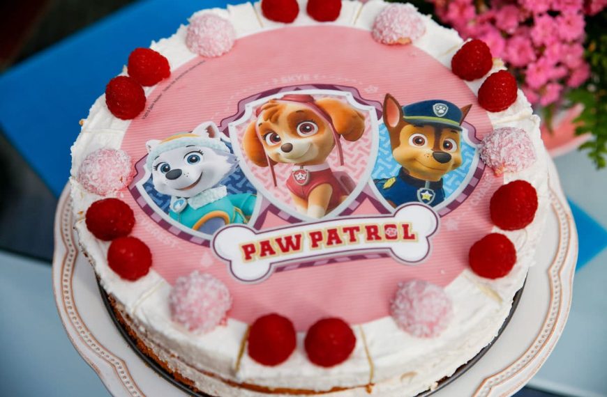 Raffaello Torte ohne Mehl – Paw Patrol Geburtstagstorte mit Kokoscreme