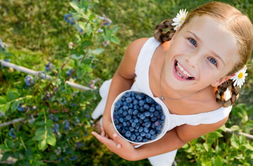 Schlank und gesund mit Blaubeeren