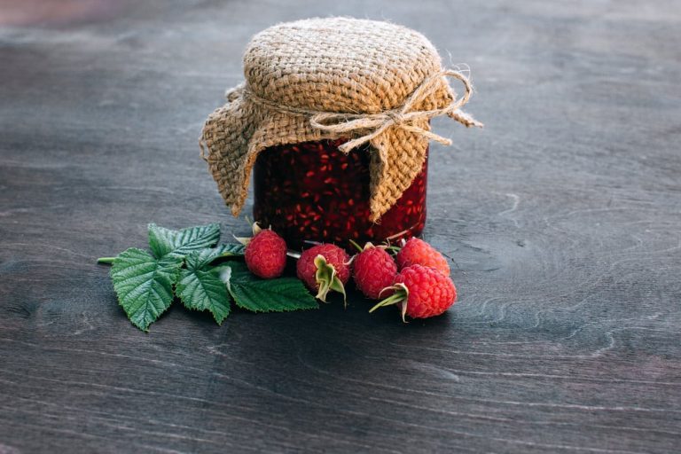 Schwarze Johannisbeermarmelade ohne Gelierzucker kochen