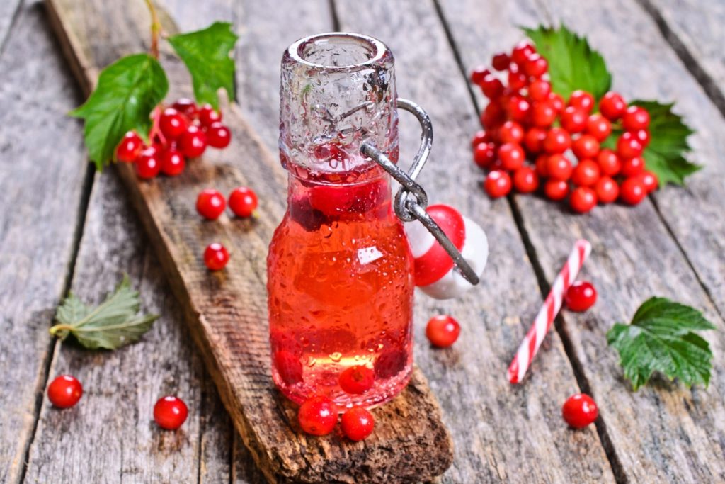 Selbstgemachter Johannisbeerwein - Rotwein aus roten Johannisbeeren