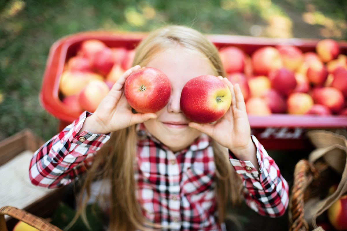 Sind Äpfel wirklich gesund|Die-Aepfel-sind-reich-an-Vitaminen|Aepfel-helfen-beim-Abnehmen|Welche-Apfelsorte-ist-am-besten
