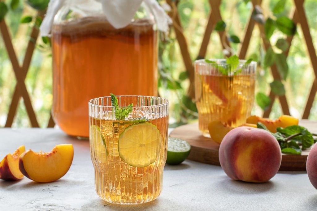 Teepilz Kombucha und seine gesunden Eigenschaften|Was-ist-Kombucha|Wo-fuehlt-sich-der-Teepilz-am-besten|Der-Trinkpilz-enthaelt-eine-grosse-Anzahl-an-B-Vitaminen