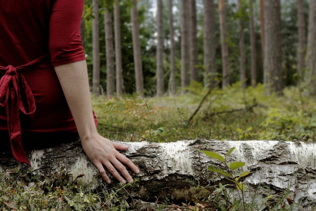 Waldtherapie – Booster für deine Gesundheit und Wohlbefinden|Wie-Waldspaziergaenge-die-Gesundheit-verbessern|Die-Kunst-des-Waldbadens|Waldtherapie-mit-einem-Audioguide