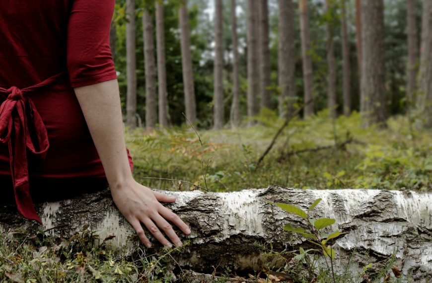 Waldtherapie – Booster für deine Gesundheit und Wohlbefinden