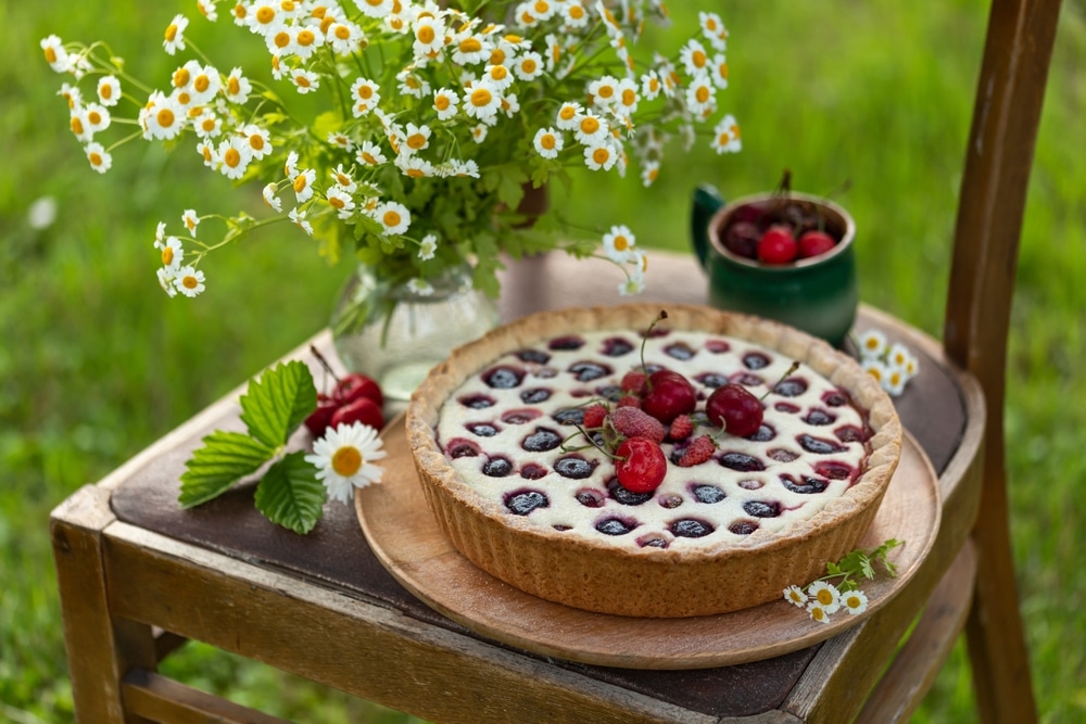 Zarter Käsekuchen mit Kirschen zum Kaffee