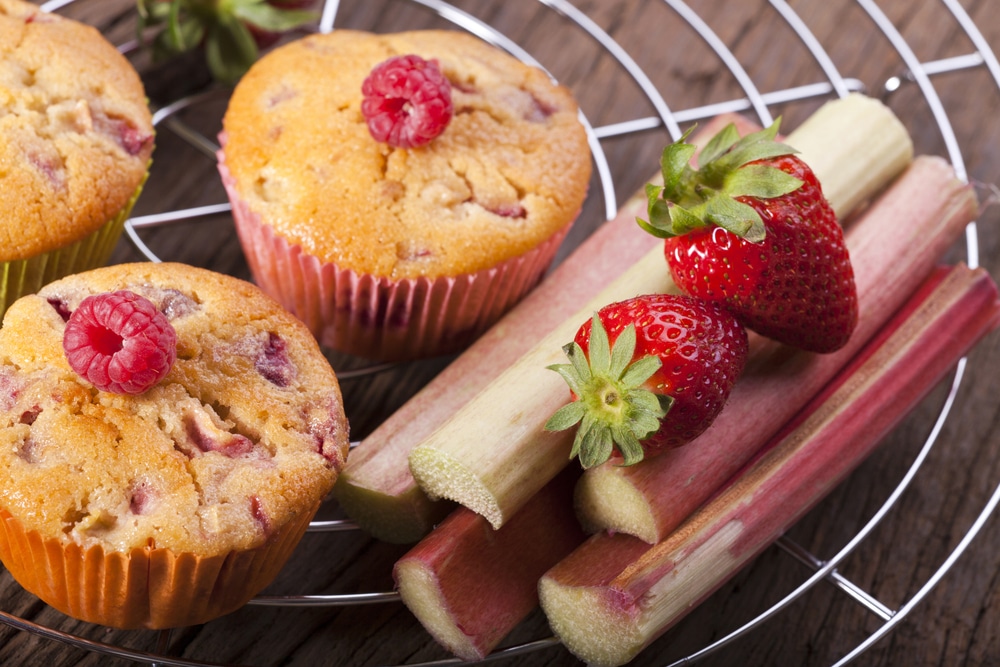 Fruchtige Rhabarbermuffins mit Erdbeeren und Himbeeren