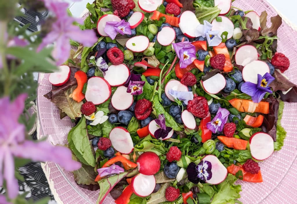 Grüner Salat mit Beeren, Radieschen und Paprika