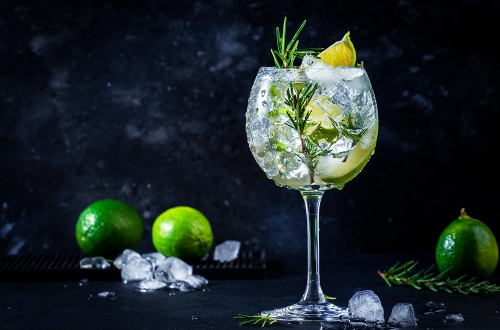 Rosmarin - Die aromatische Ergänzung in Gin Tonic