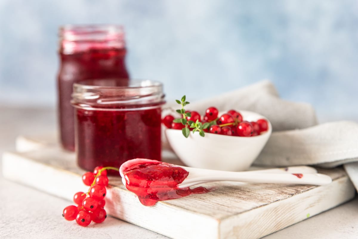 Johannisbeergelee selbstgemacht Delikatesse aus roten Johannisbeeren