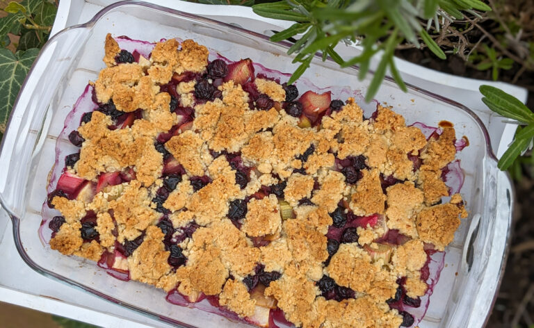 Fruchtiger Rhabarber Crumble mit Apfel und Blaubeeren