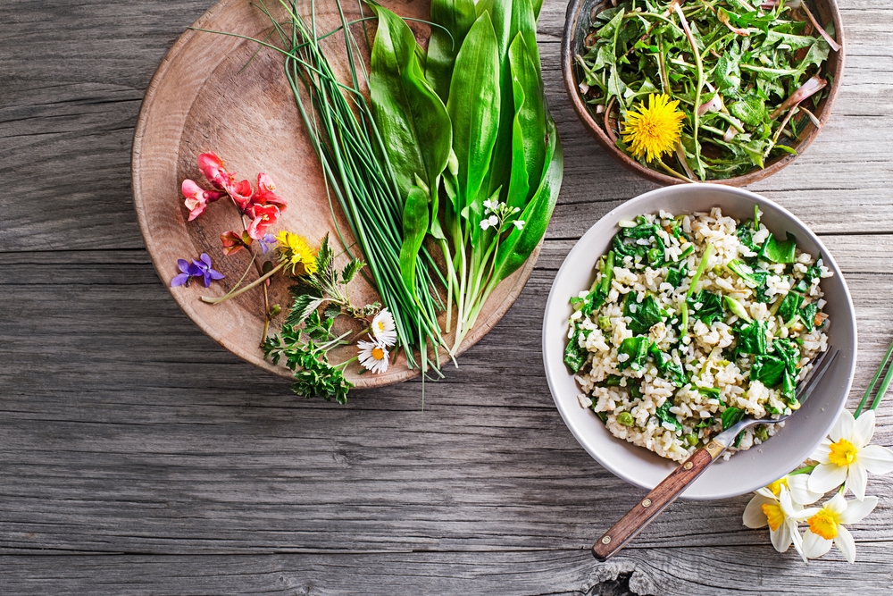 Frühlingsfrische Kochkunst Tipps und Tricks für die neue Saison