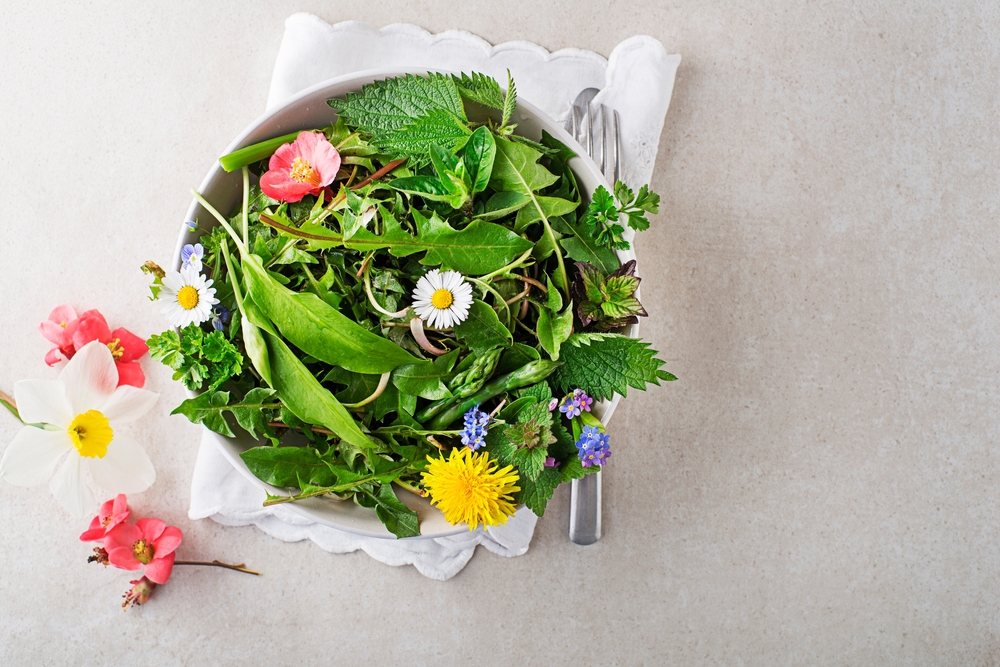 Frühlingskräuter richtig nutzen Aromatische Frühlingskräuter in der Küche einsetzen