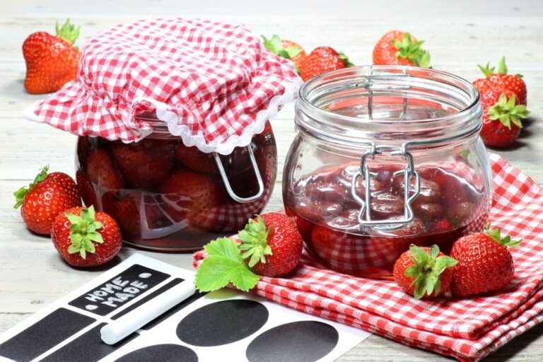 erdbeeren küche zutat druck, obst küche dekor,... Aromatische Erdbeeren das ganze Jahr: Konservierungsmöglichkeiten