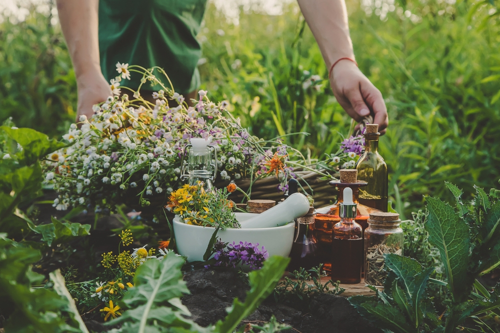 Der Geschmack des Sommers Frische und aromatische Kräuter