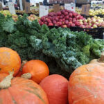 Die wichtigsten Herbstsuperfoods und ihre gesundheitlichen Vorteile